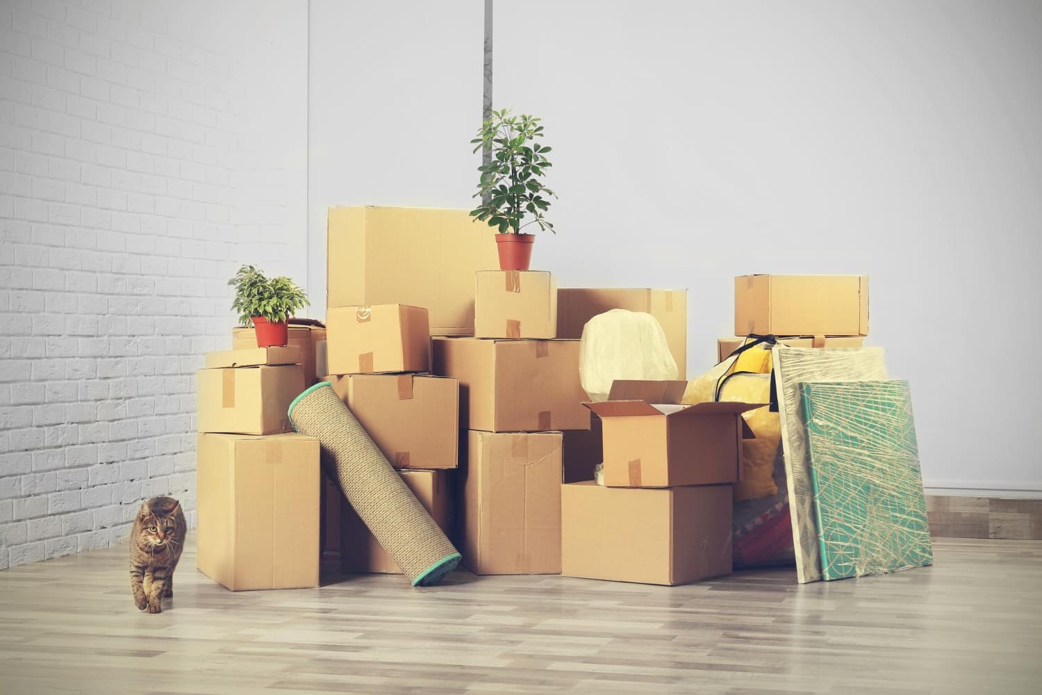 bunch of boxes with house essentials